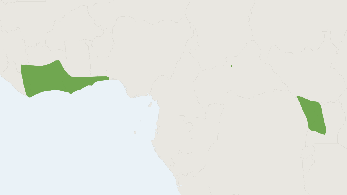 Range map of the Trevor's Mops Bat (Mops trevori)