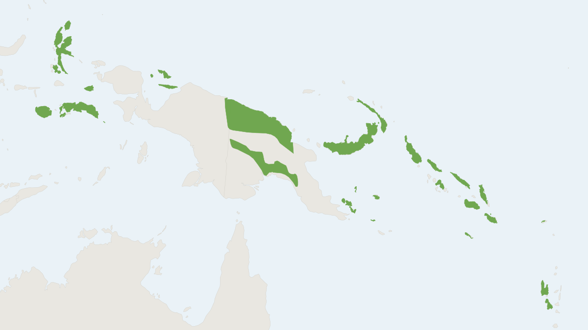 Range map of the Trident Leaf-nosed Bat (Aselliscus tricuspidatus) covering Indonesia, Ireland and Papua New Guinea