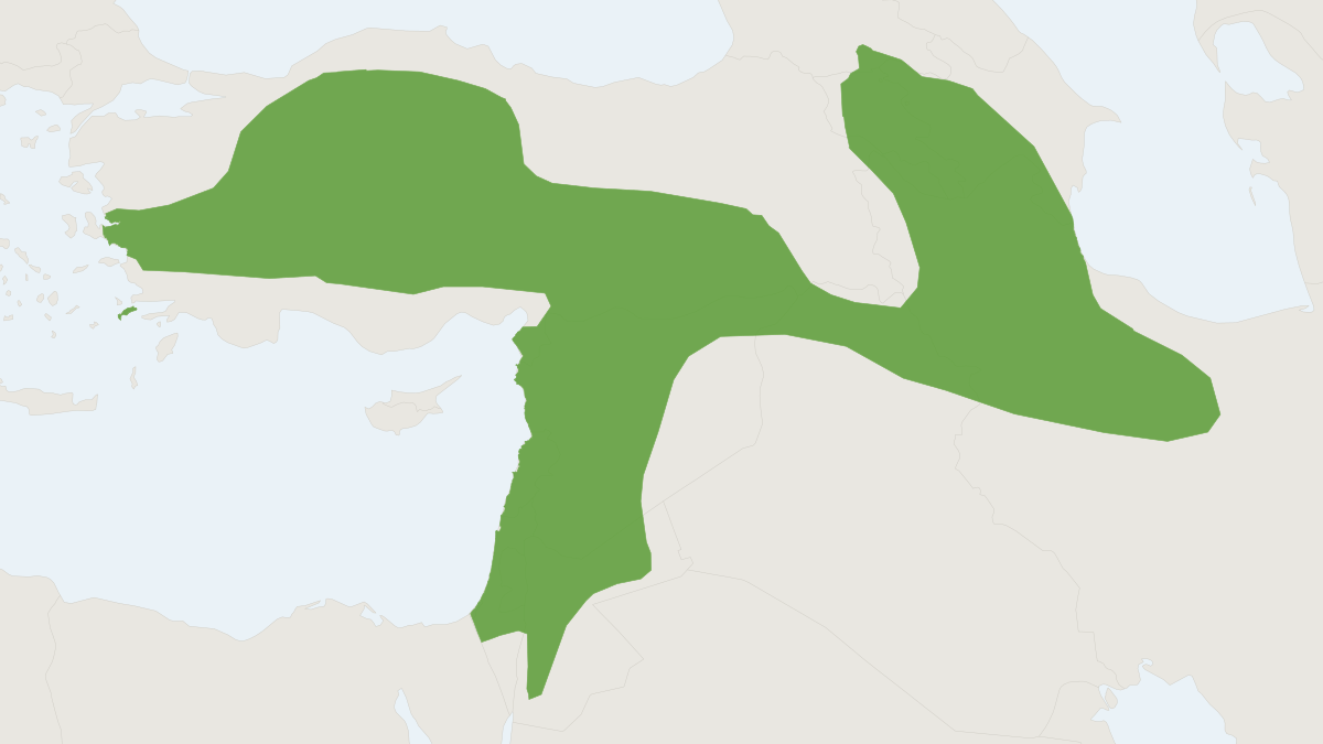 Range map of the Tristram's Jird (Meriones tristrami)