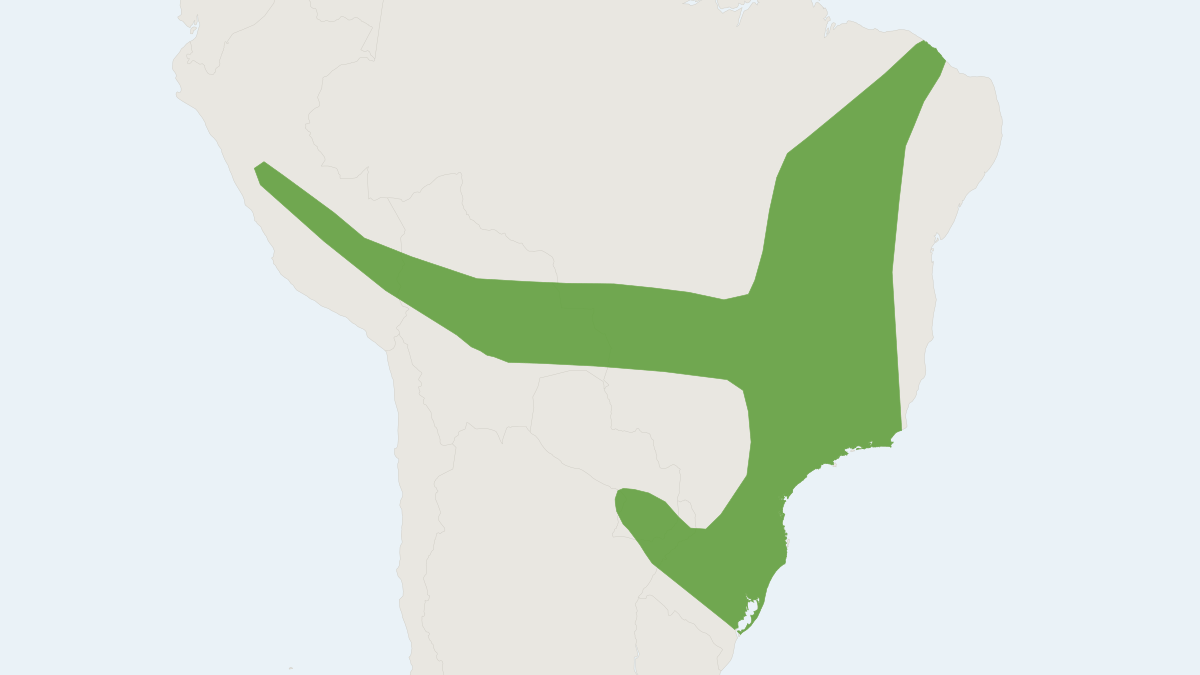 Range map of the Tropical Big-eared Brown Bat (Histiotus velatus)