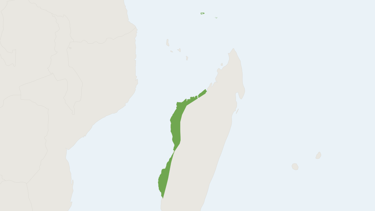 Range map of the Trouessart's Trident Bat (Paratriaenops furcula)
