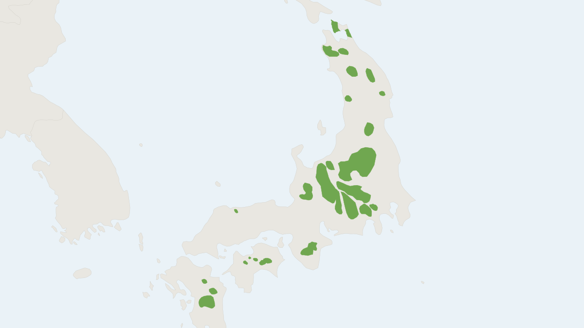 Range map of the True's Shrew Mole (Dymecodon pilirostris)