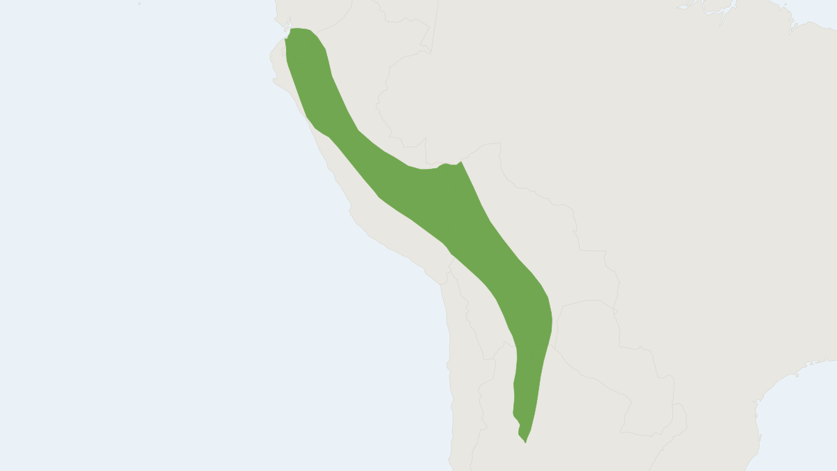 Range map of the Tschudi's Yellow-shouldered Bat (Sturnira oporaphilum)