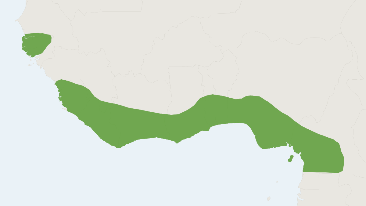 Range map of the Tullberg's Soft-furred Mouse (Praomys tullbergi)