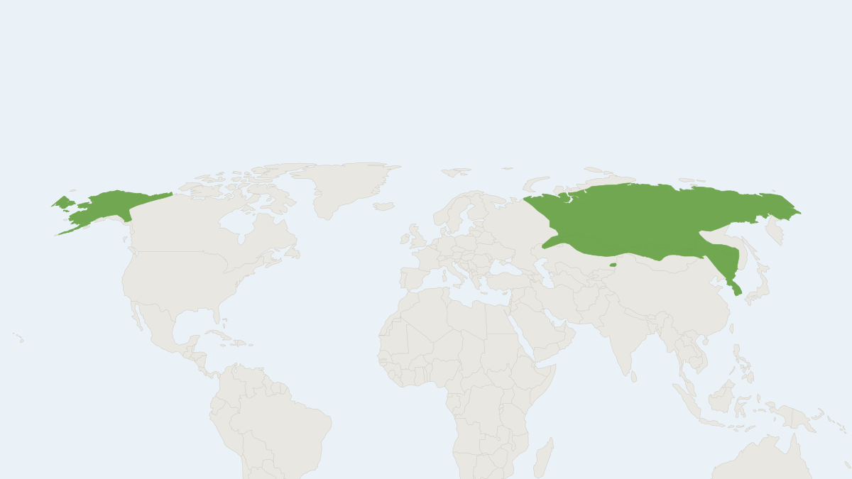 Range map of the Tundra Shrew (Sorex tundrensis)