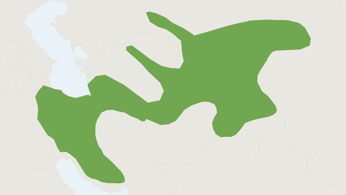 Range map of the Turkestan Pipistrelle (Pipistrellus aladdin)