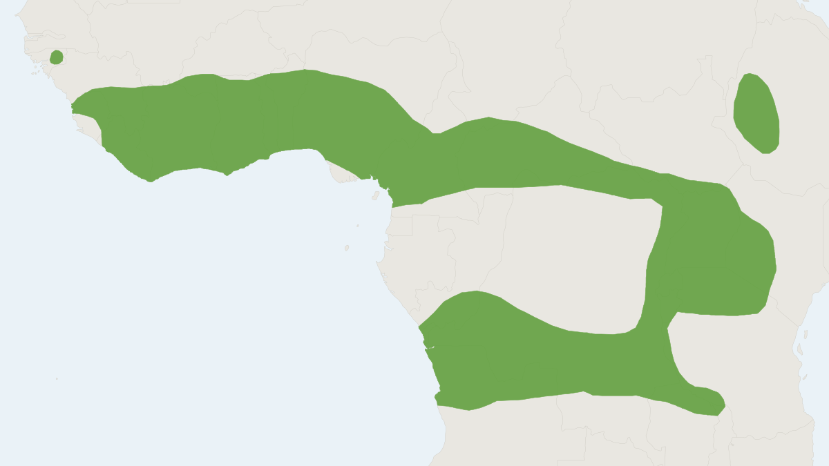 Range map of the Typical Lemniscomys (Lemniscomys striatus)