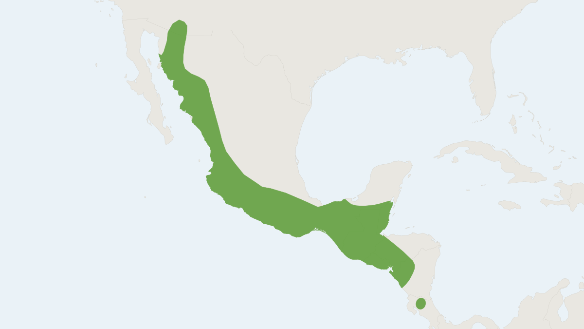 Range map of the Underwood's Bonneted Bat (Eumops underwoodi)