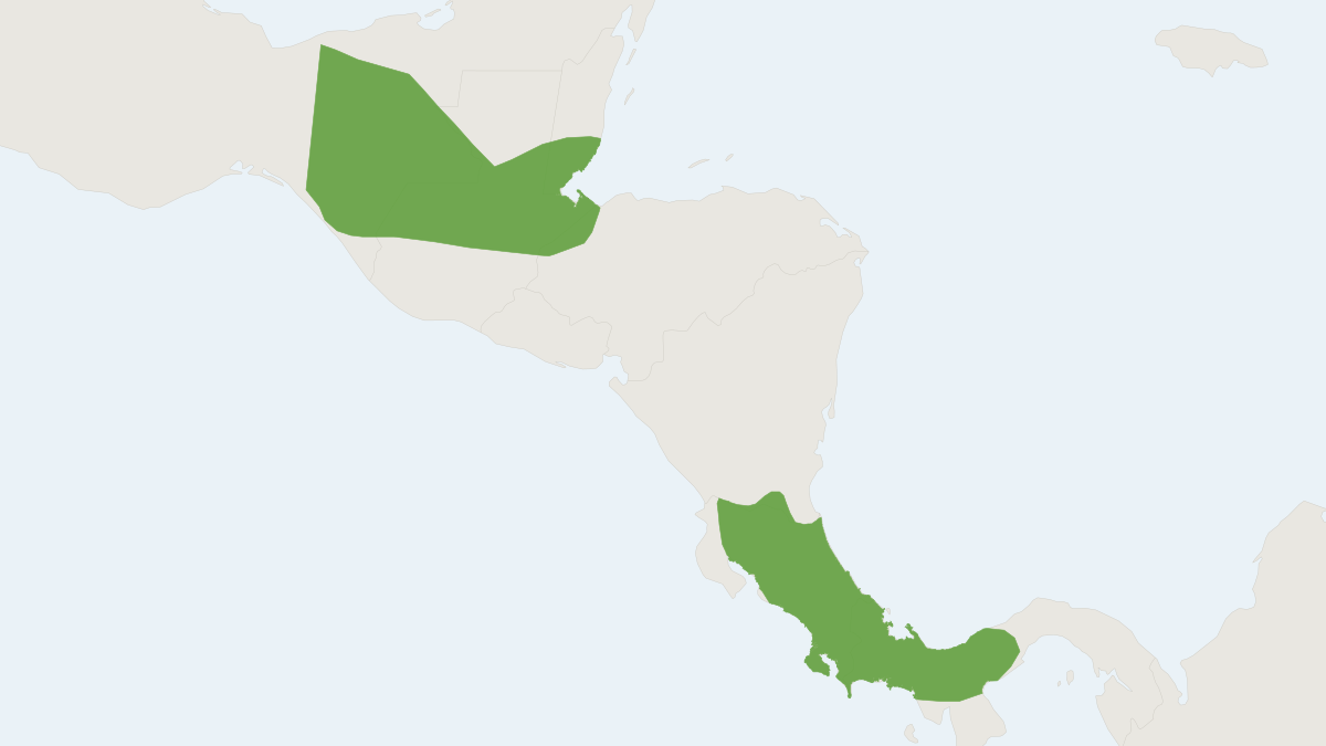 Range map of the Underwood's Long-tongued Bat (Hylonycteris underwoodi)