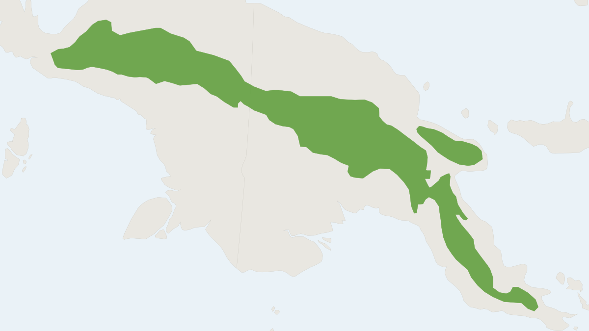 Range map of the Uneven-toothed Rat (Anisomys imitator) covering Indonesia and Papua New Guinea