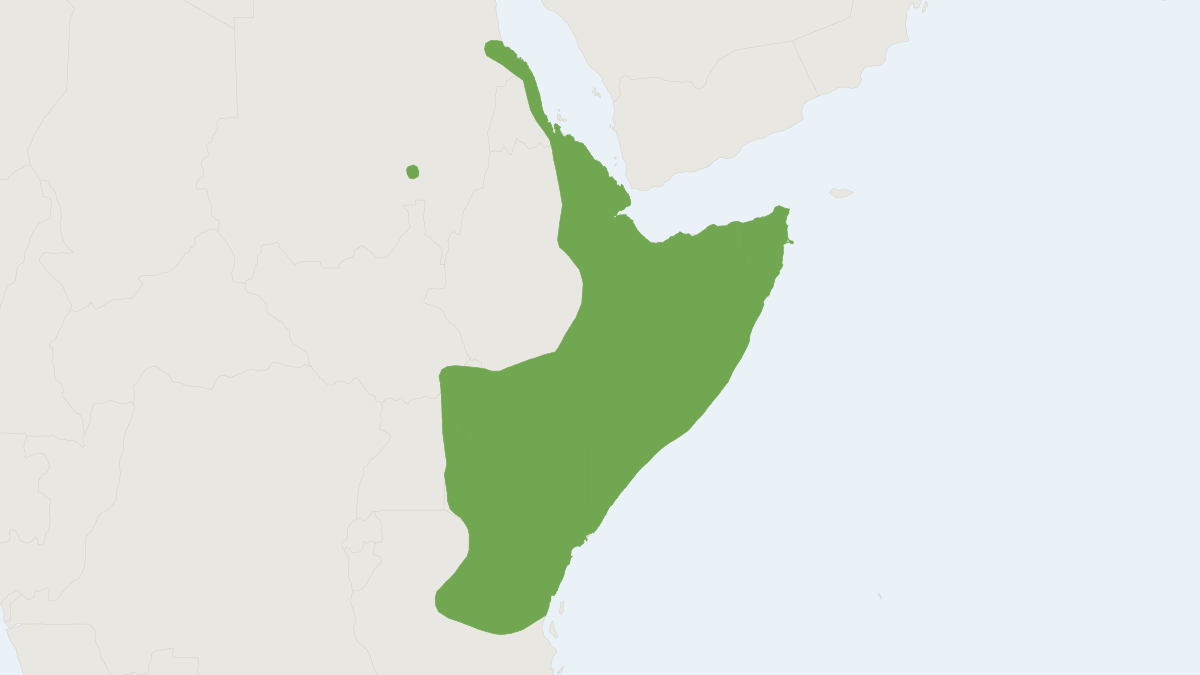 Range map of the Unstriped Ground Squirrel (Xerus rutilus)