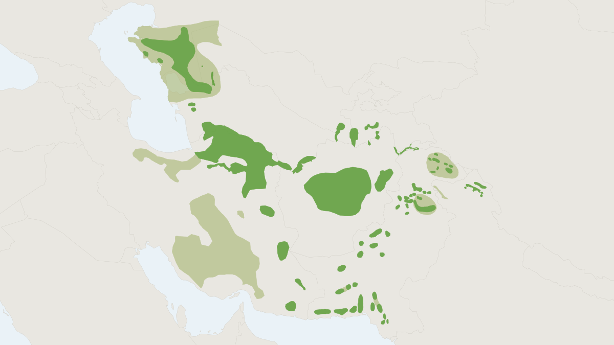 Range map of the Urial (Ovis vignei)