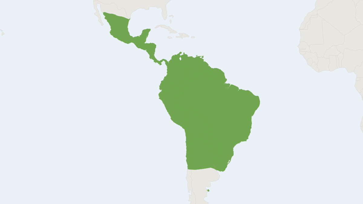 Range map of the Common Vampire Bat (Desmodus rotundus) covering Argentina, Bolivia and Brazil