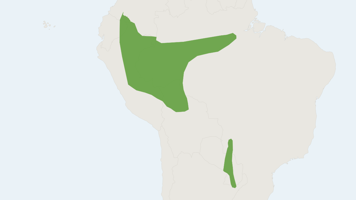 Range map of the Velvety Myotis (Myotis simus)