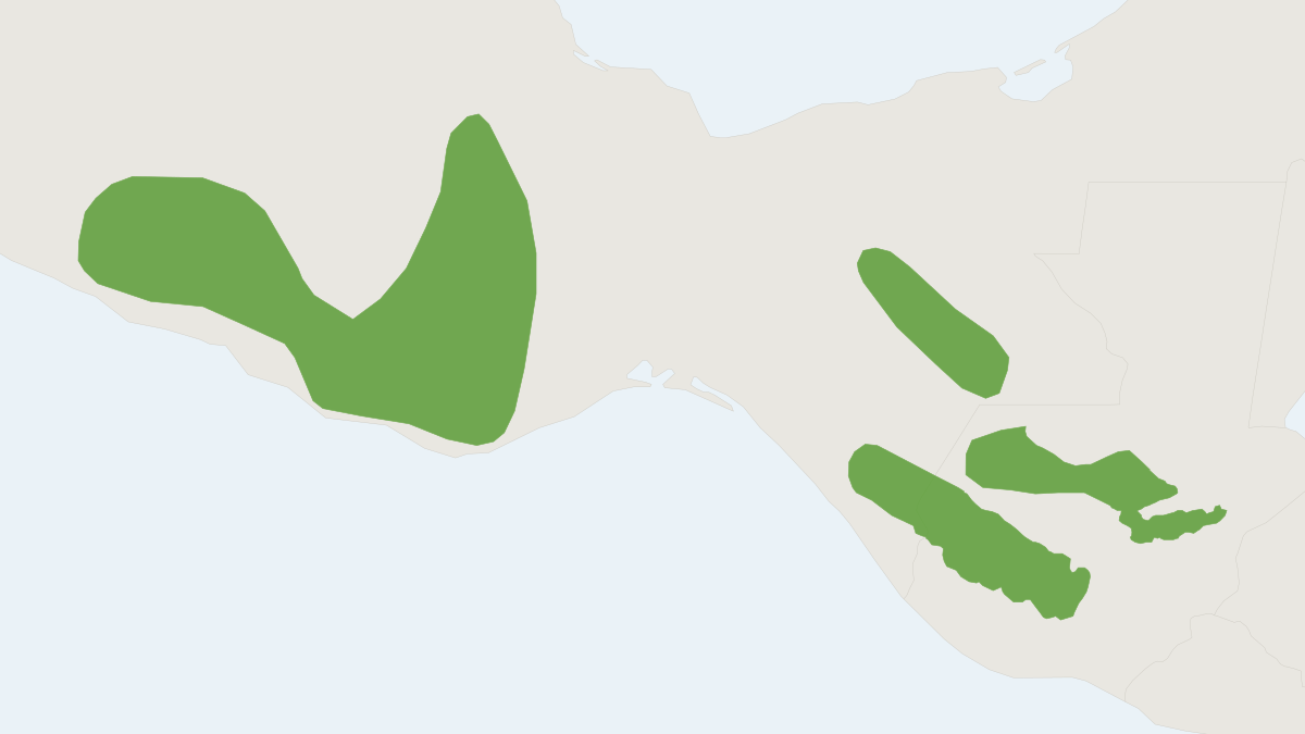 Range map of the Verapaz Shrew (Sorex veraepacis)