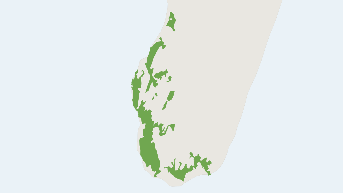 Range map of the Verreaux's Sifaka (Propithecus verreauxi) covering Madagascar