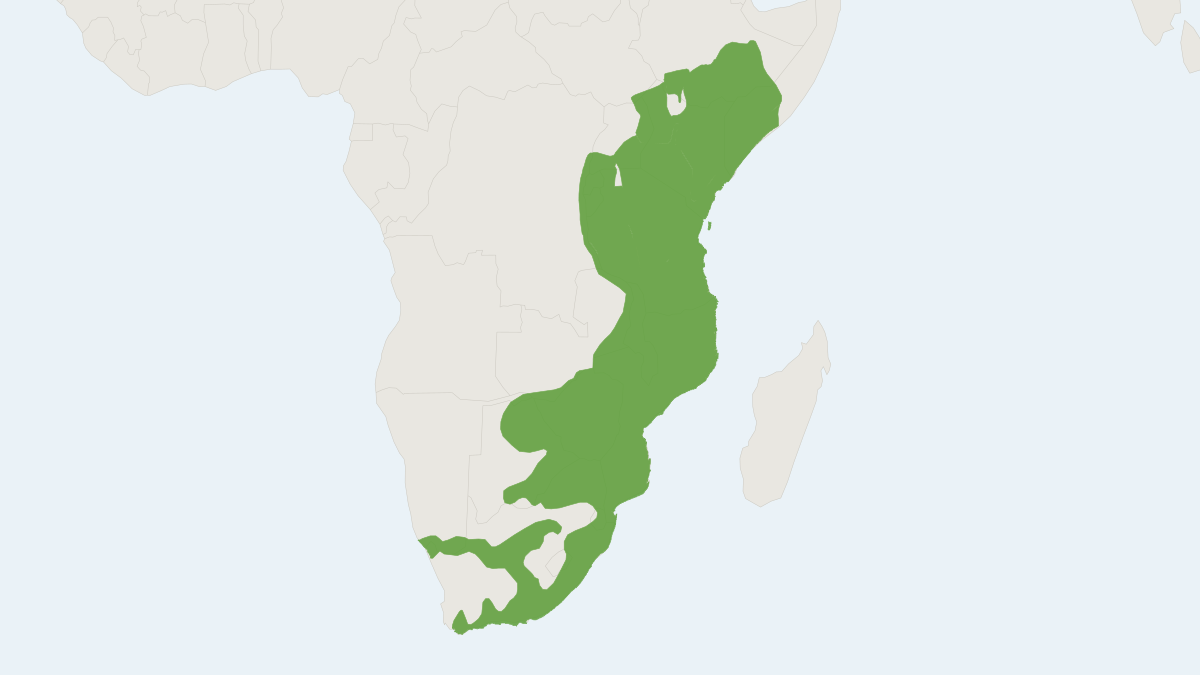Range map of the Vervet Monkey (Chlorocebus pygerythrus) covering Botswana, Ethiopia and Kenya
