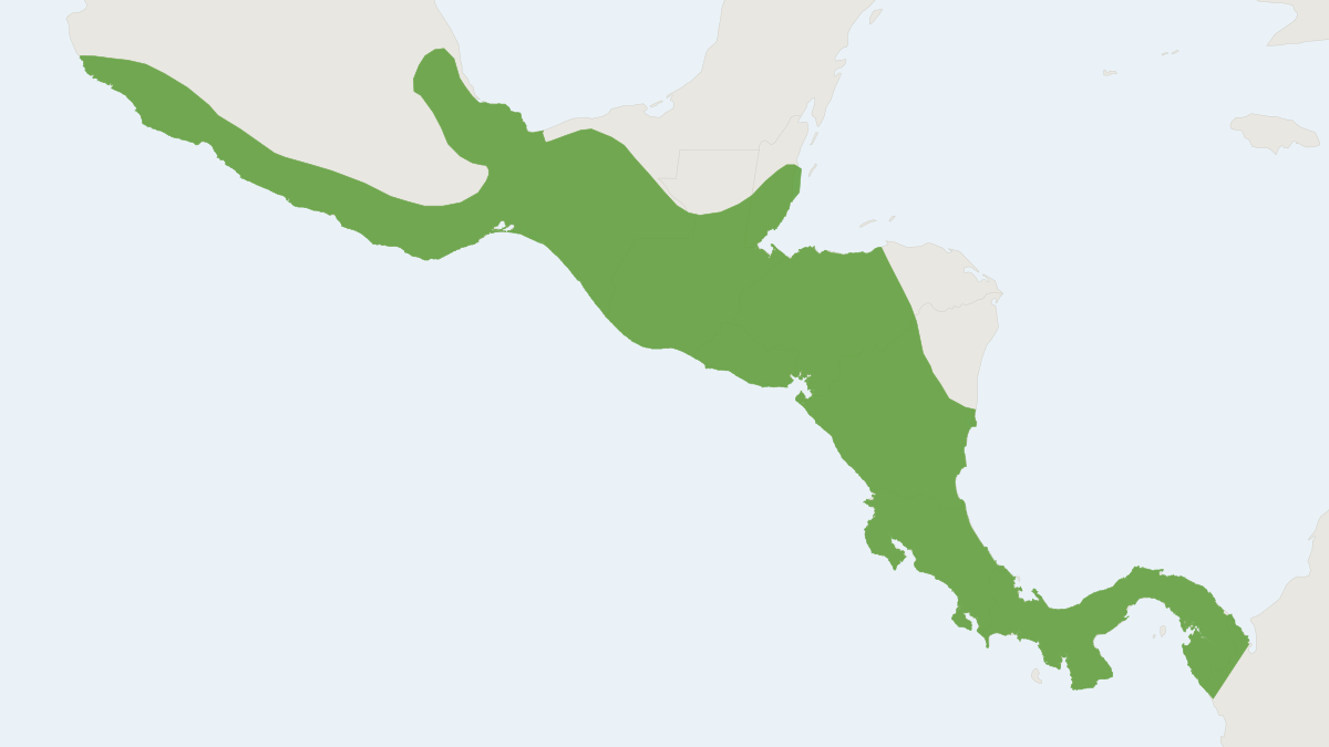 Range map of the Vesper Rat (Nyctomys sumichrasti)