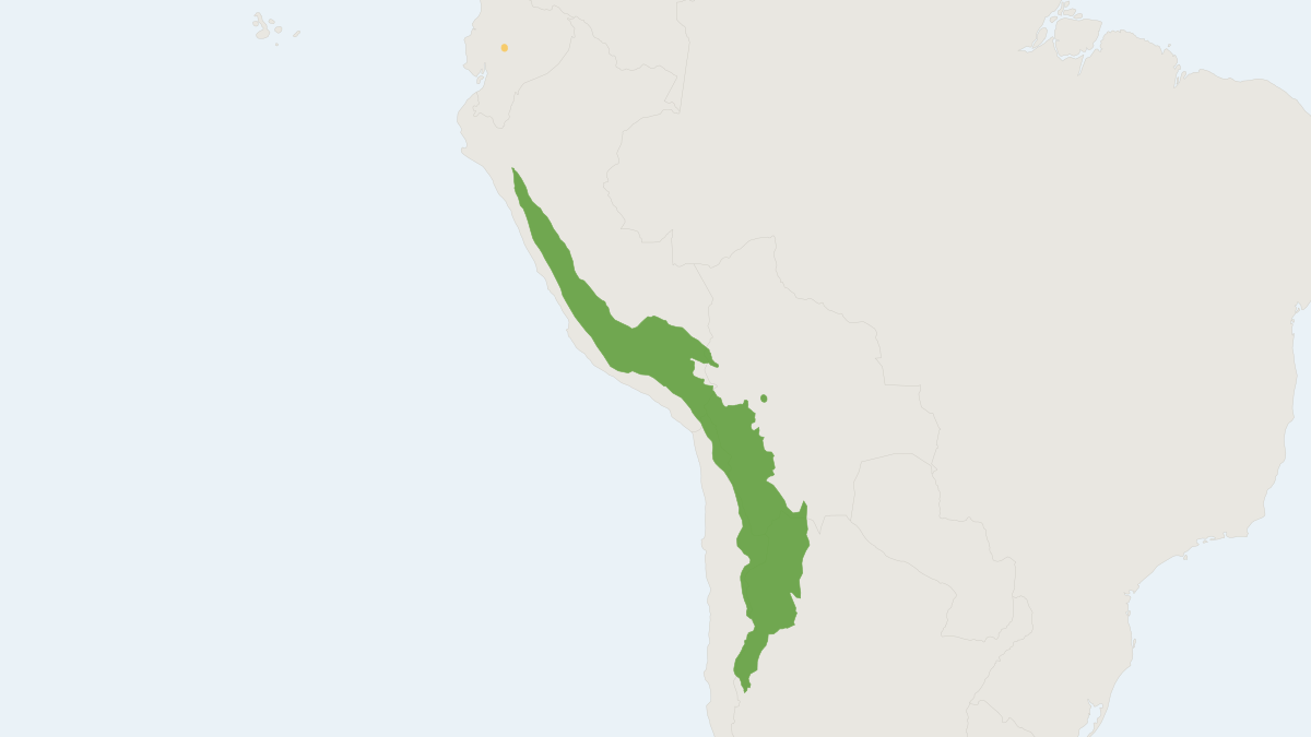 Range map of the Vicuna (Vicugna vicugna) covering Argentina, Bolivia and Chile