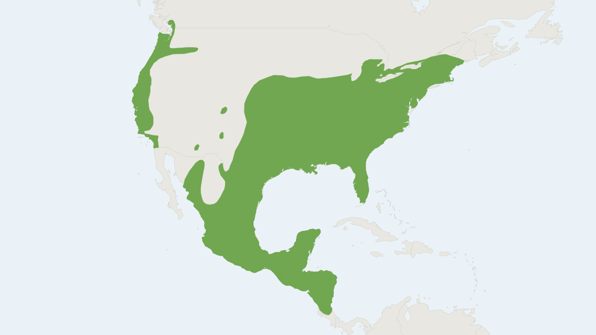 Range map of the Virginia Opossum (Didelphis virginiana) covering Canada, Costa Rica and Mexico