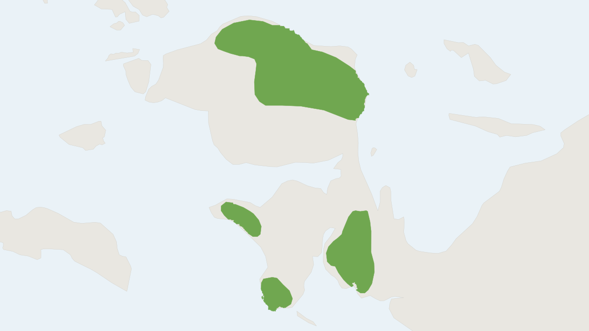 Range map of the Vogelkop Tree Kangaroo (Dendrolagus ursinus)