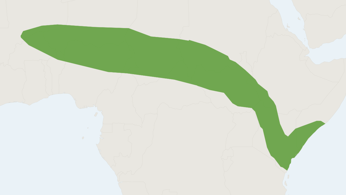 Range map of the Voi Shrew (Crocidura voi)