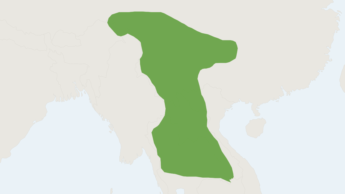Range map of the Voracious Shrew (Crocidura vorax)