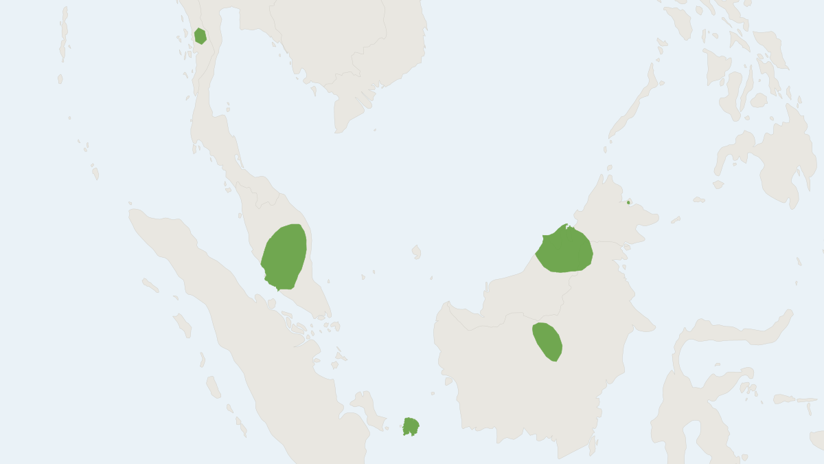 Range map of the Vordermann's Flying Squirrel (Petinomys vordermanni)