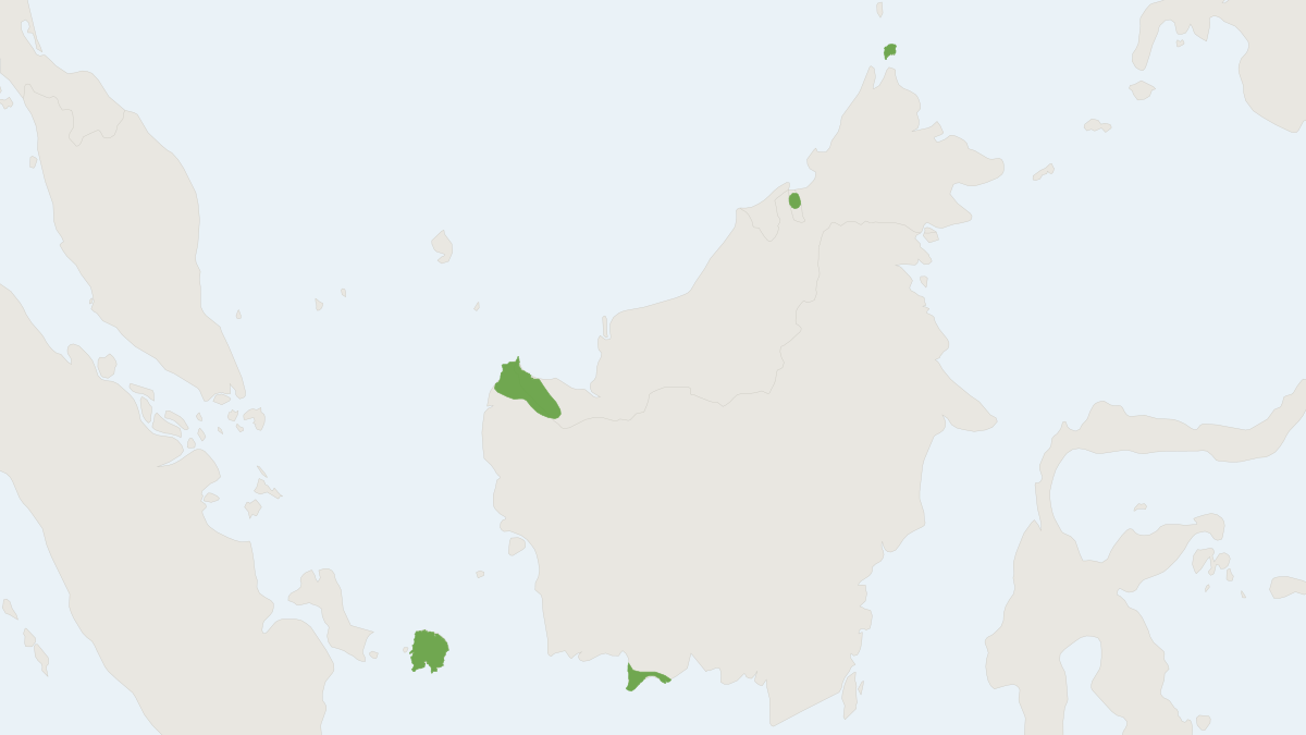 Range map of the Vordermann's Pipistrelle (Hypsugo vordermanni)