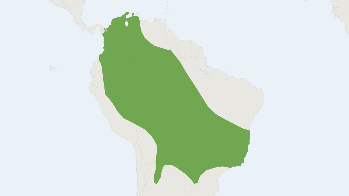 Range map of the Wagner's Bonneted Bat (Eumops glaucinus)