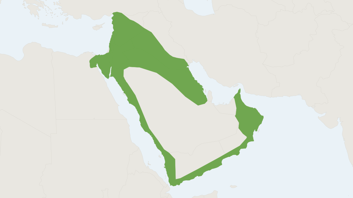 Range map of the Wagner's Gerbil (Gerbillus dasyurus)