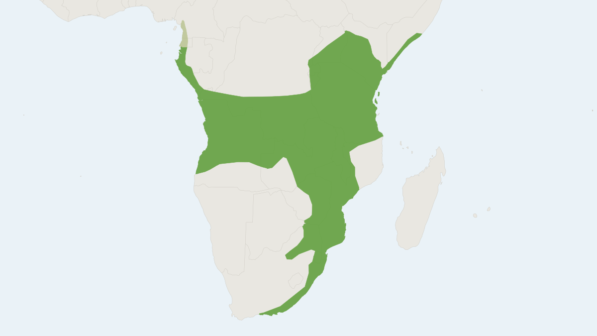 Range map of the Wahlberg's Epauletted Fruit Bat (Epomophorus wahlbergi)