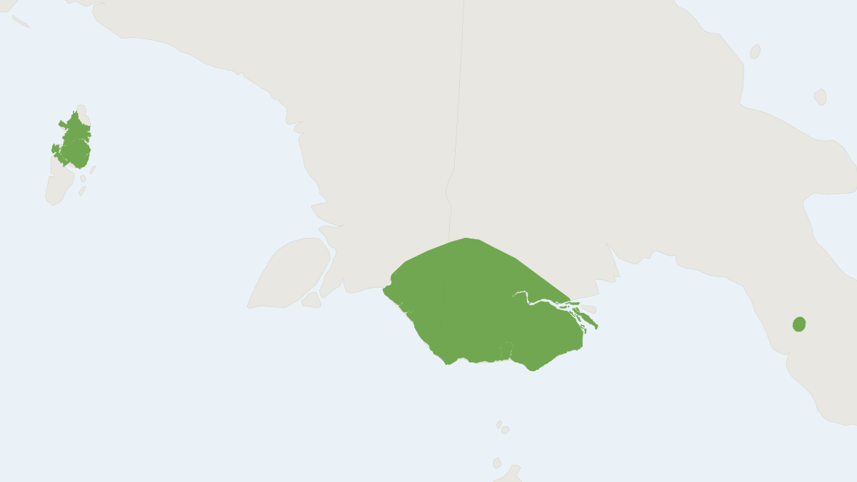 Range map of the Wallace's Three-striped Dasyure (Myoictis wallacei)