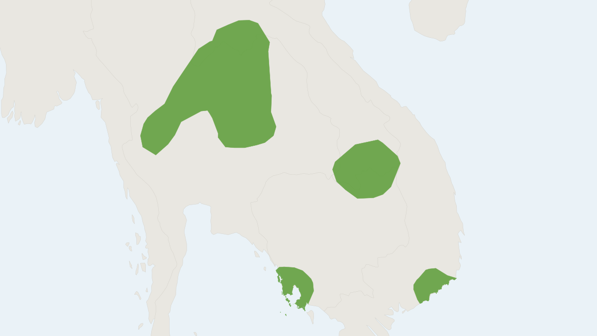 Range map of the Walston’s tube-nosed bat (Murina walstoni)