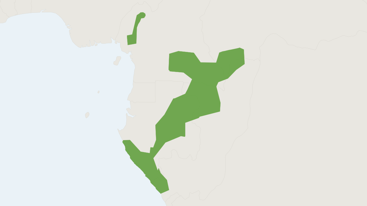 Range map of the Walter Verheyen's Mouse (Hylomyscus walterverheyeni)