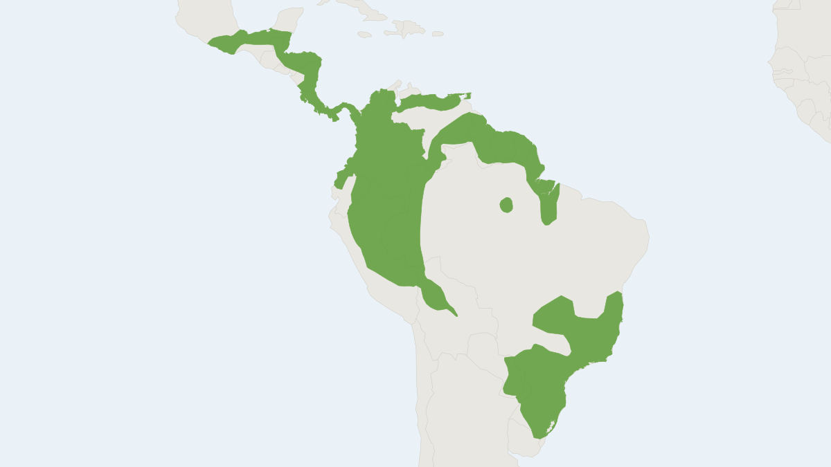 Range map of the Water Opossum (Chironectes minimus) covering Argentina, Costa Rica and Mexico