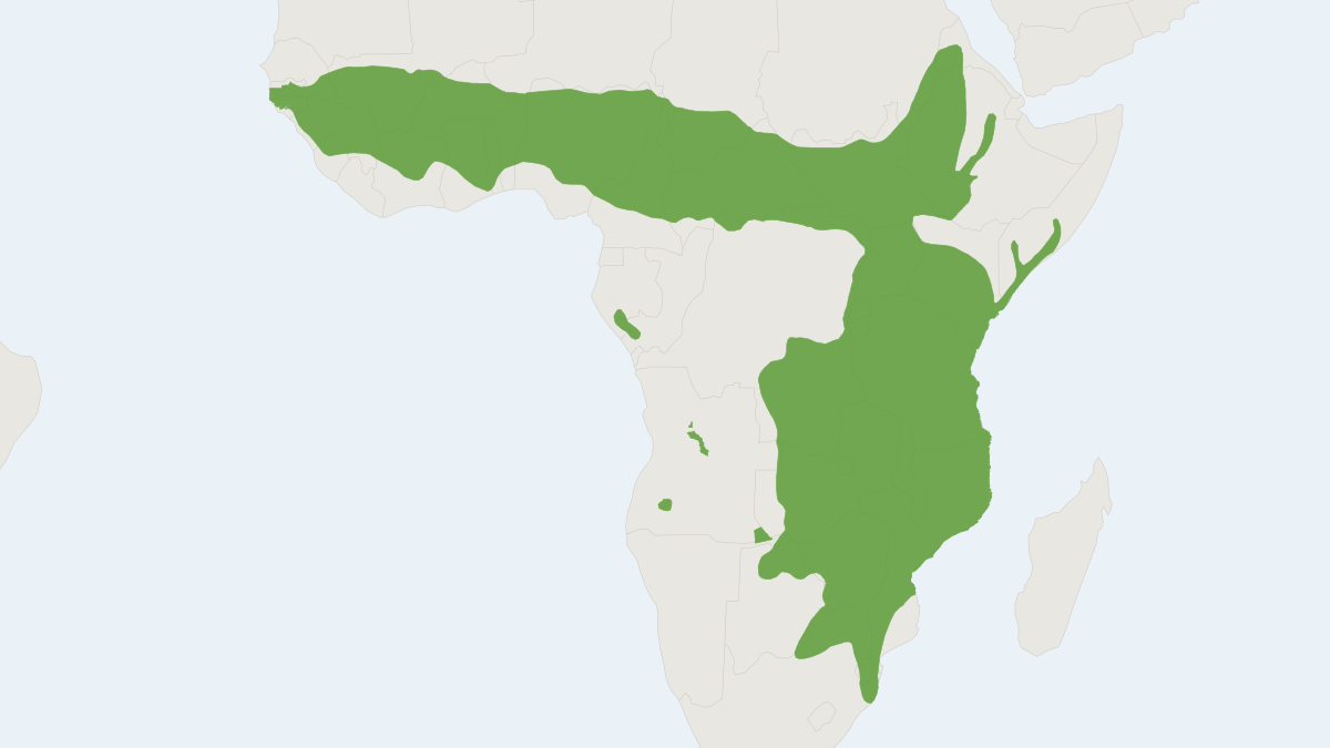 Range map of the Waterbuck (Kobus ellipsiprymnus) covering Botswana, Kenya and Senegal