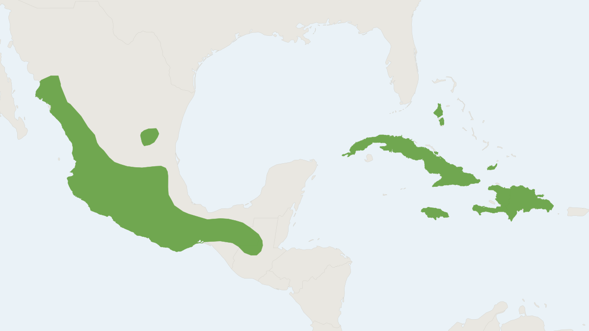 Range map of the Waterhouse's Leaf-nosed Bat (Macrotus waterhousii)
