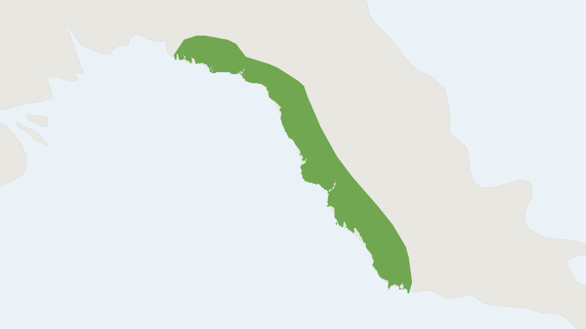 Range map of the Watts's Pipistrelle (Pipistrellus wattsi)