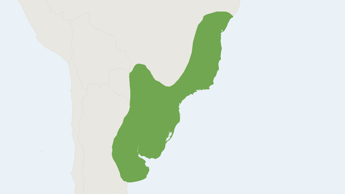 Range map of the Web-footed Marsh Rat (Holochilus brasiliensis)