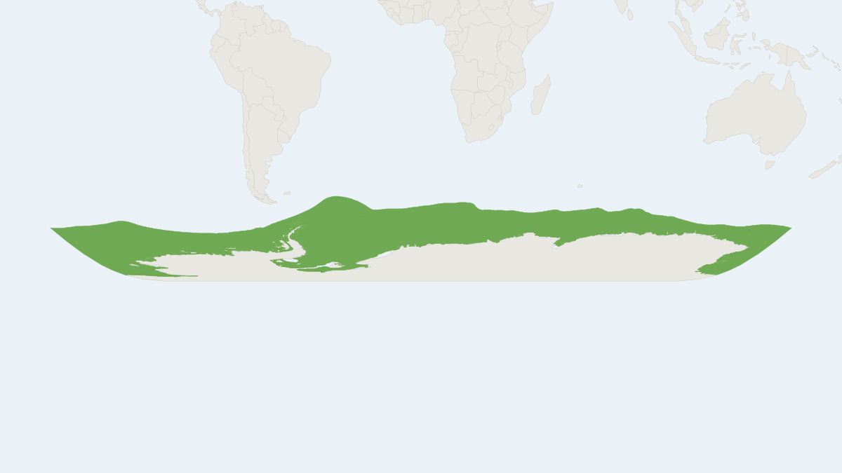 Range map of the Weddell Seal (Leptonychotes weddellii) covering Antarctica and Georgia