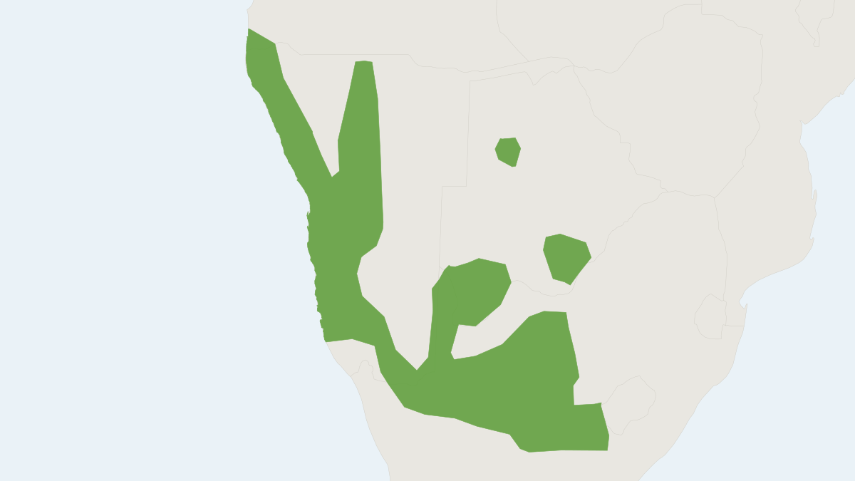Range map of the West-Central South African Four-striped Grass Rat (Rhabdomys bechuanae)