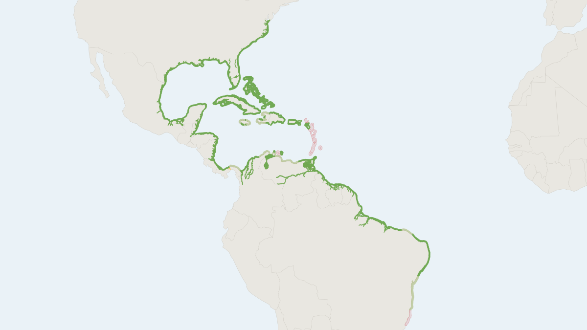 Range map of the West Indian Manatee (Trichechus manatus) covering Brazil, Colombia and Cuba