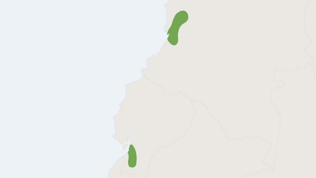 Range map of the Western Broad-nosed Bat (Platyrrhinus nitelinea)