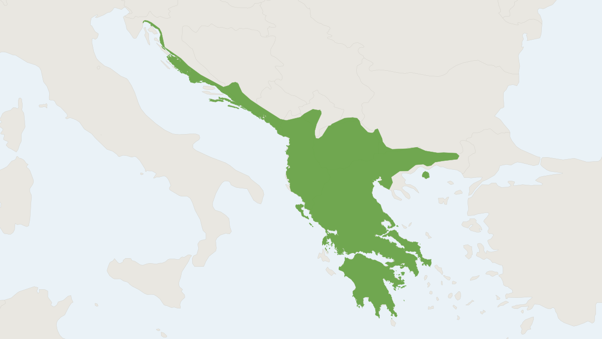 Range map of the Western Broad-toothed Field Mouse (Apodemus epimelas)