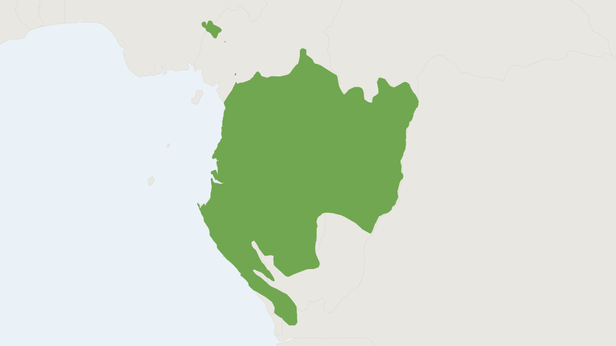 Range map of the Western Gorilla (Gorilla gorilla) covering Angola, Cameroon and Central African Republic