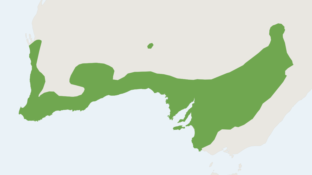 Range map of the Western Gray Kangaroo (Macropus fuliginosus) covering Australia and United Kingdom