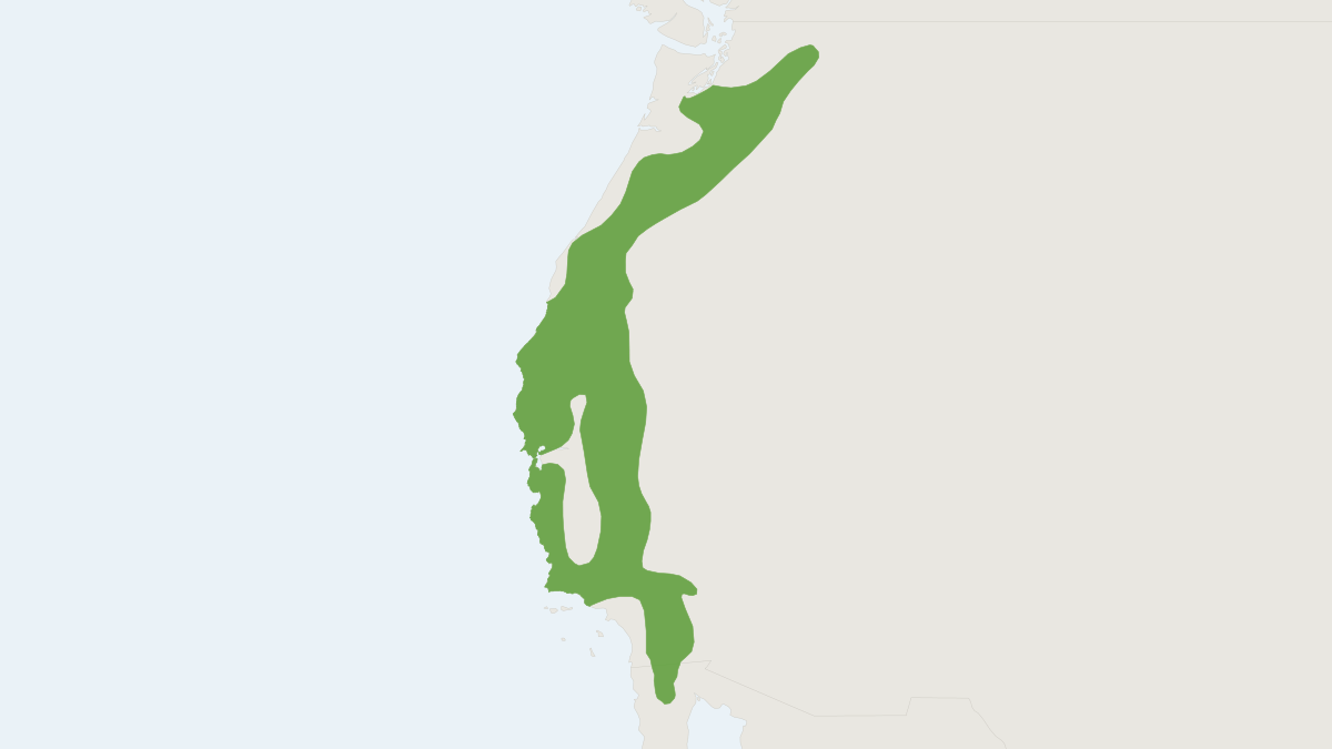 Range map of the Western Gray Squirrel (Sciurus griseus)