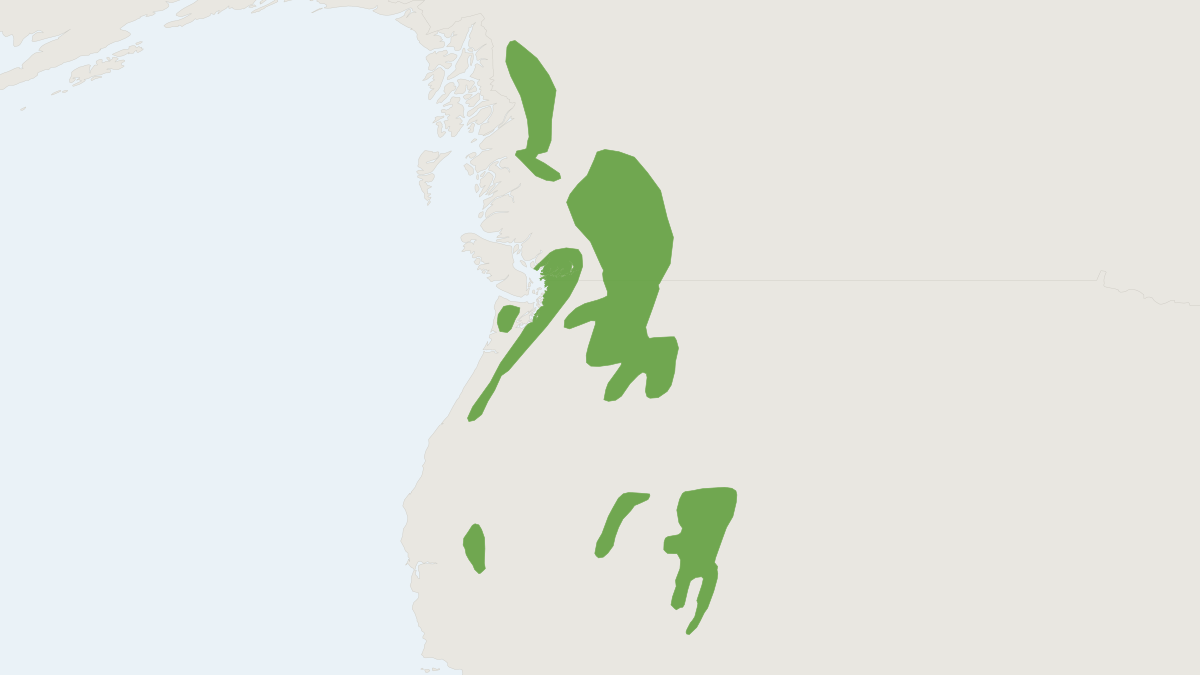 Range map of the Western Heather Vole (Phenacomys intermedius)