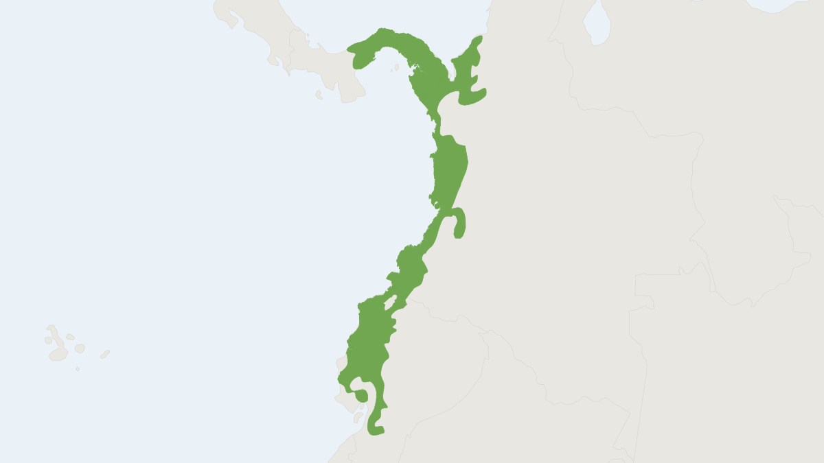 Range map of the Western Lowland Olingo (Bassaricyon medius)